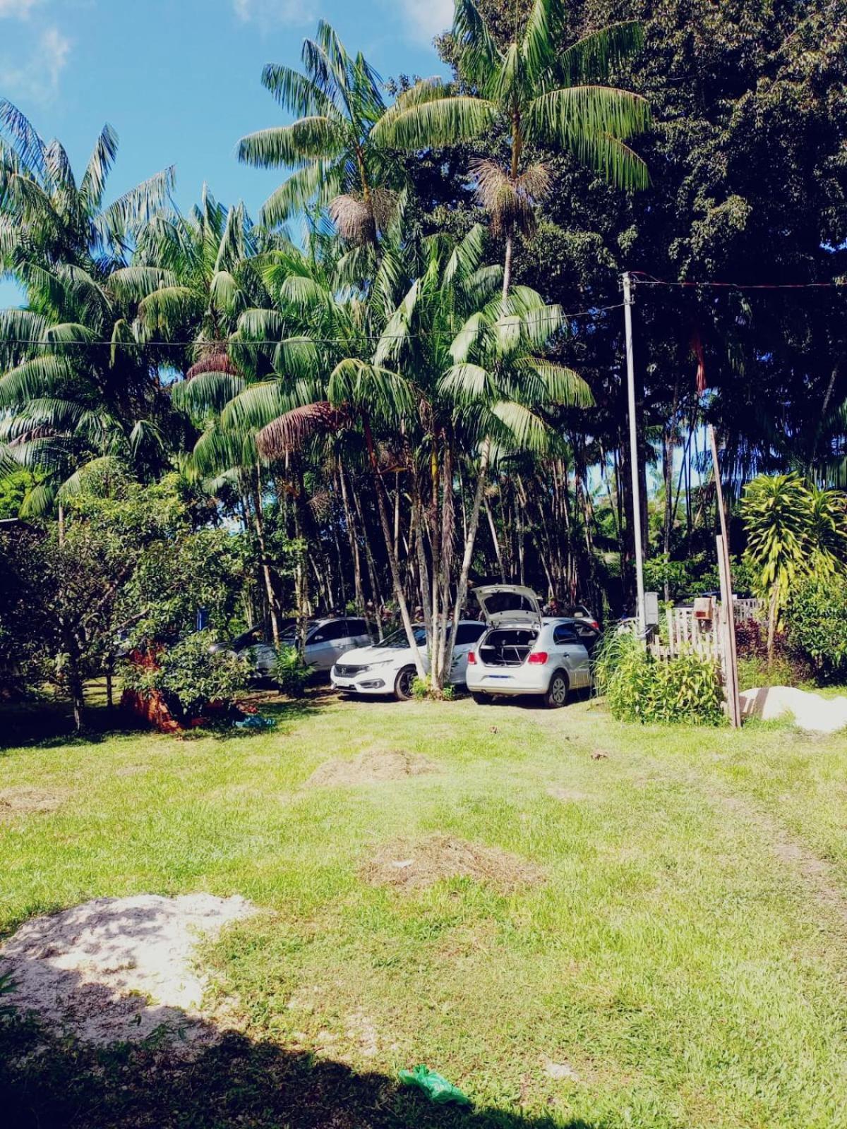 Eco Sitio O Labirinto Do Fauno Hotel Mosqueiro  Exterior foto